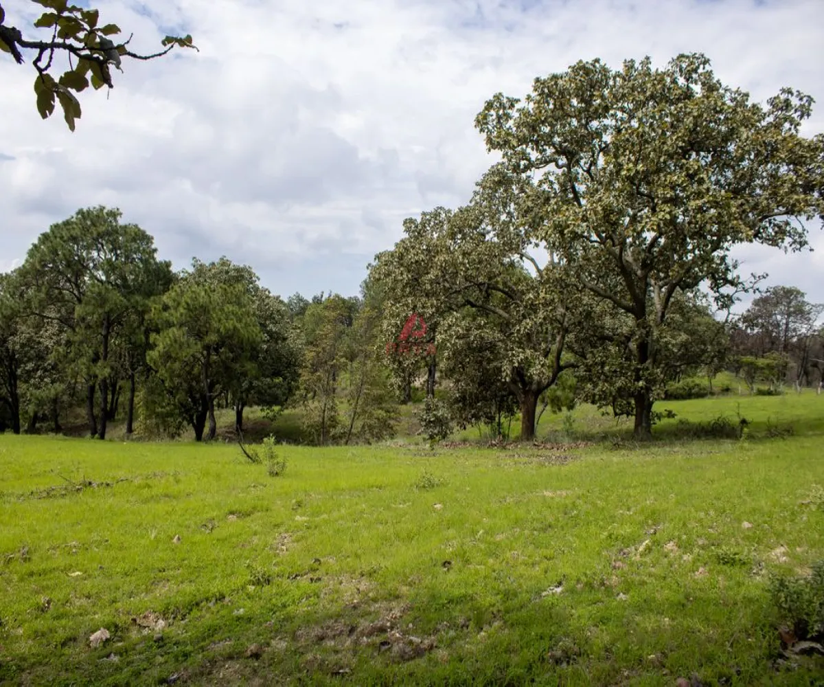 Terreno En Venta,Emiliano Zapata ,PARCELA 16125, El Arenal, Jalisco 45364,PARCELA,pWQO1C9 Terreno En Venta,Emiliano Zapata ,PARCELA 16125, El Arenal, Jalisco 45364,PARCELA,pWQO1C9