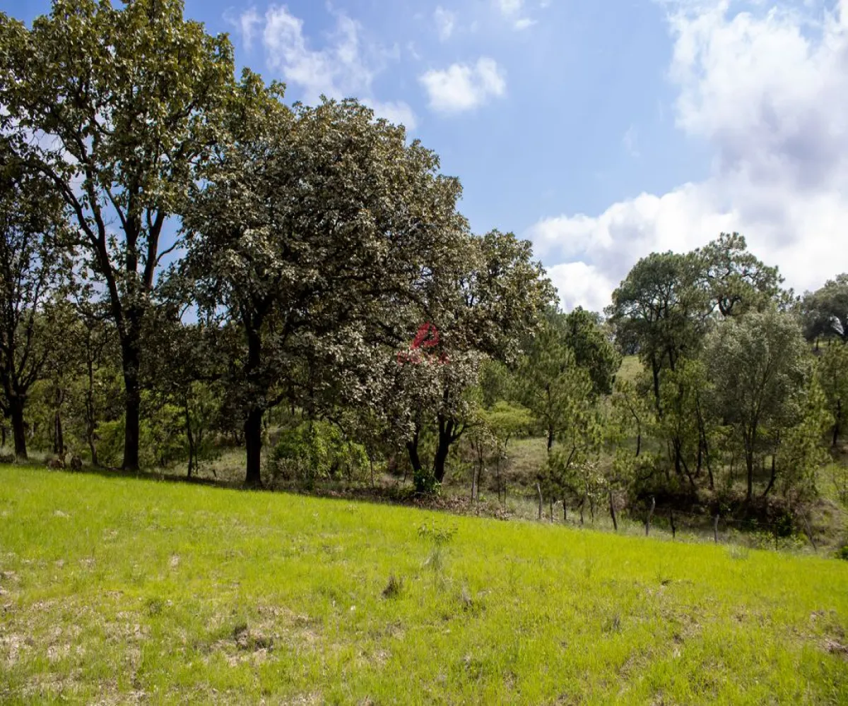 Terreno En Venta,Emiliano Zapata ,PARCELA 16125, El Arenal, Jalisco 45364,PARCELA,pWQO1C9 Terreno En Venta,Emiliano Zapata ,PARCELA 16125, El Arenal, Jalisco 45364,PARCELA,pWQO1C9