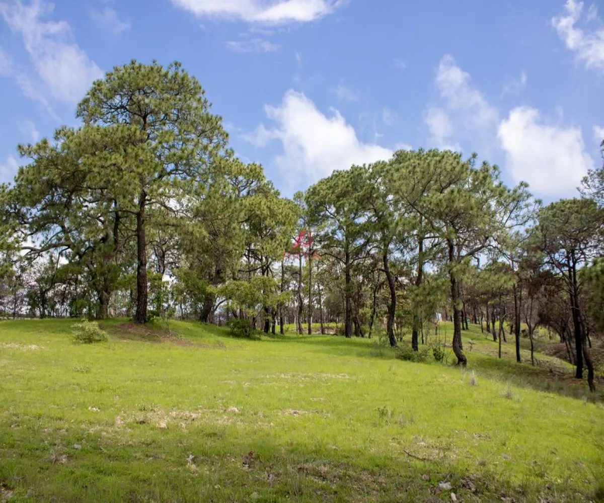 Terreno En Venta,Emiliano Zapata ,PARCELA 16125, El Arenal, Jalisco 45364,PARCELA,pWQO1C9 Terreno En Venta,Emiliano Zapata ,PARCELA 16125, El Arenal, Jalisco 45364,PARCELA,pWQO1C9