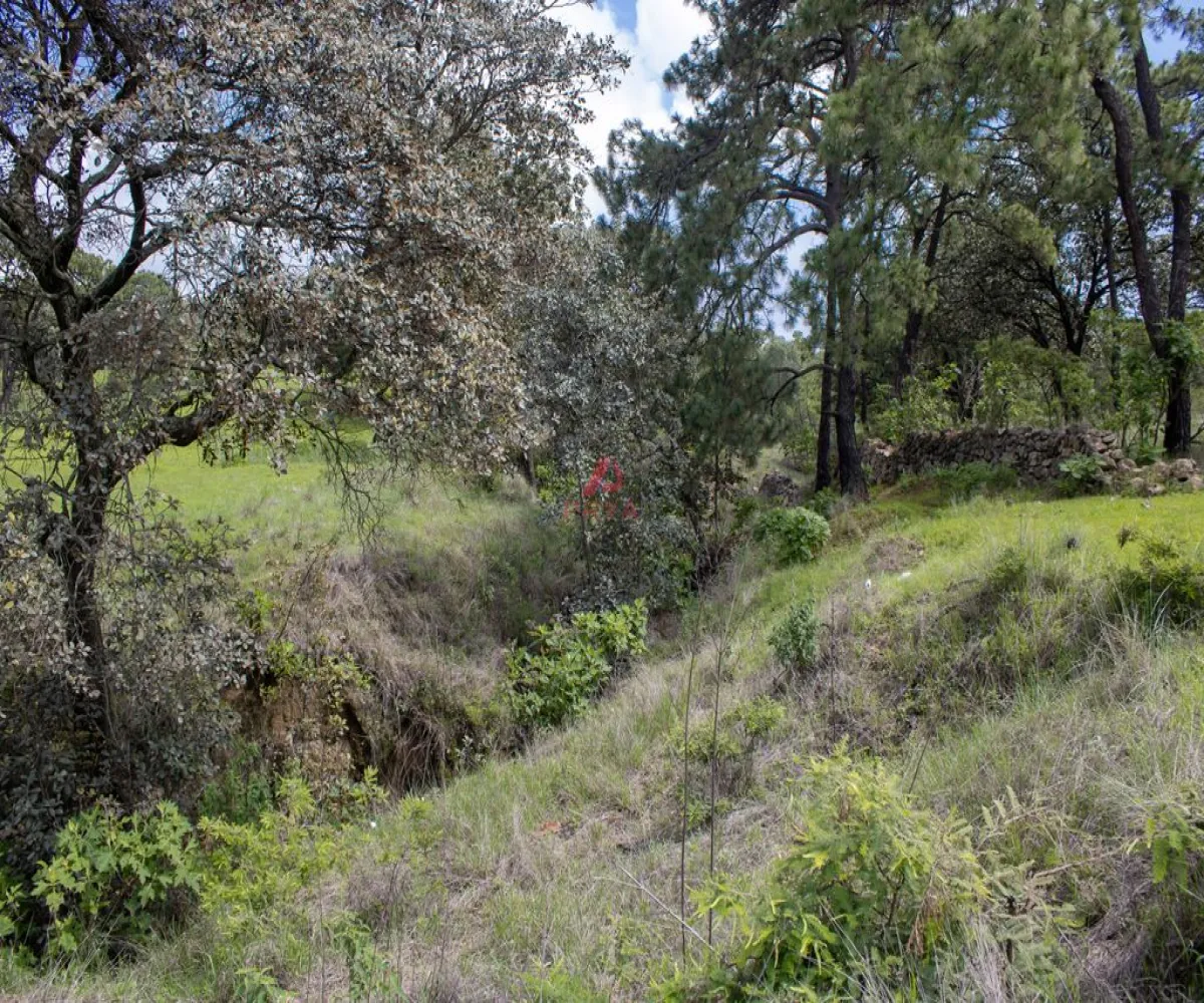 Terreno En Venta,Emiliano Zapata ,PARCELAS 16125, El Arenal, Jalisco 45364,PARCELAS ,pLSfAJQ