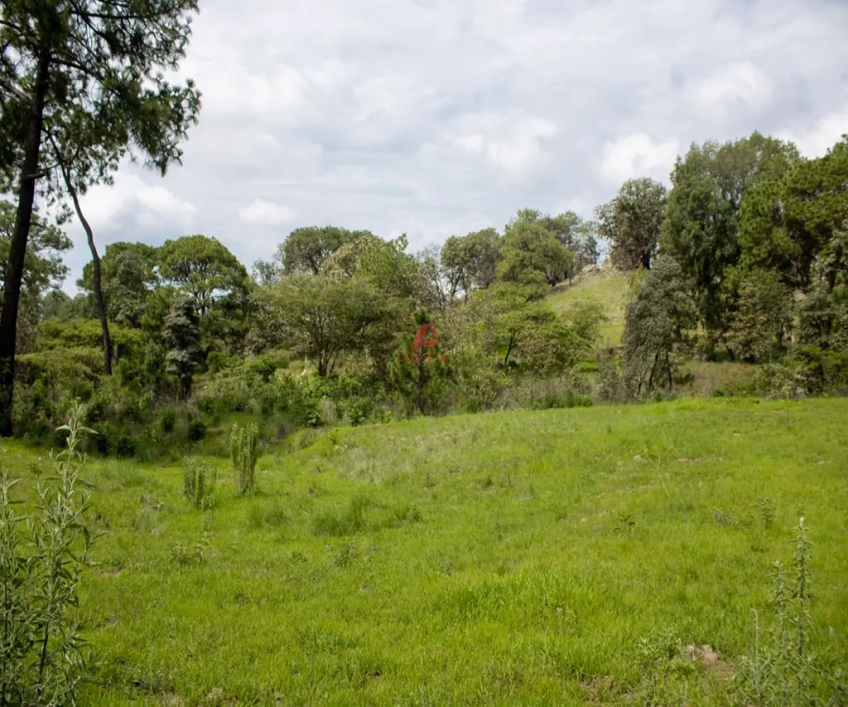 Terreno En Venta,Emiliano Zapata ,PARCELAS 16125, El Arenal, Jalisco 45364,PARCELAS ,pLSfAJQ