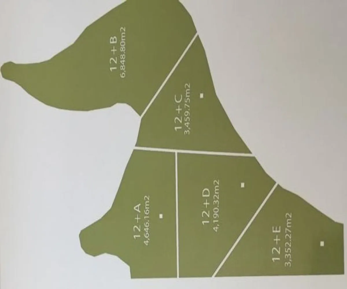 Terreno En Venta,Tapalpa,Reserva Los Magos S/N, Tapalpa, Jalisco 49340,Reserva Los Magos ,pfr0bI6