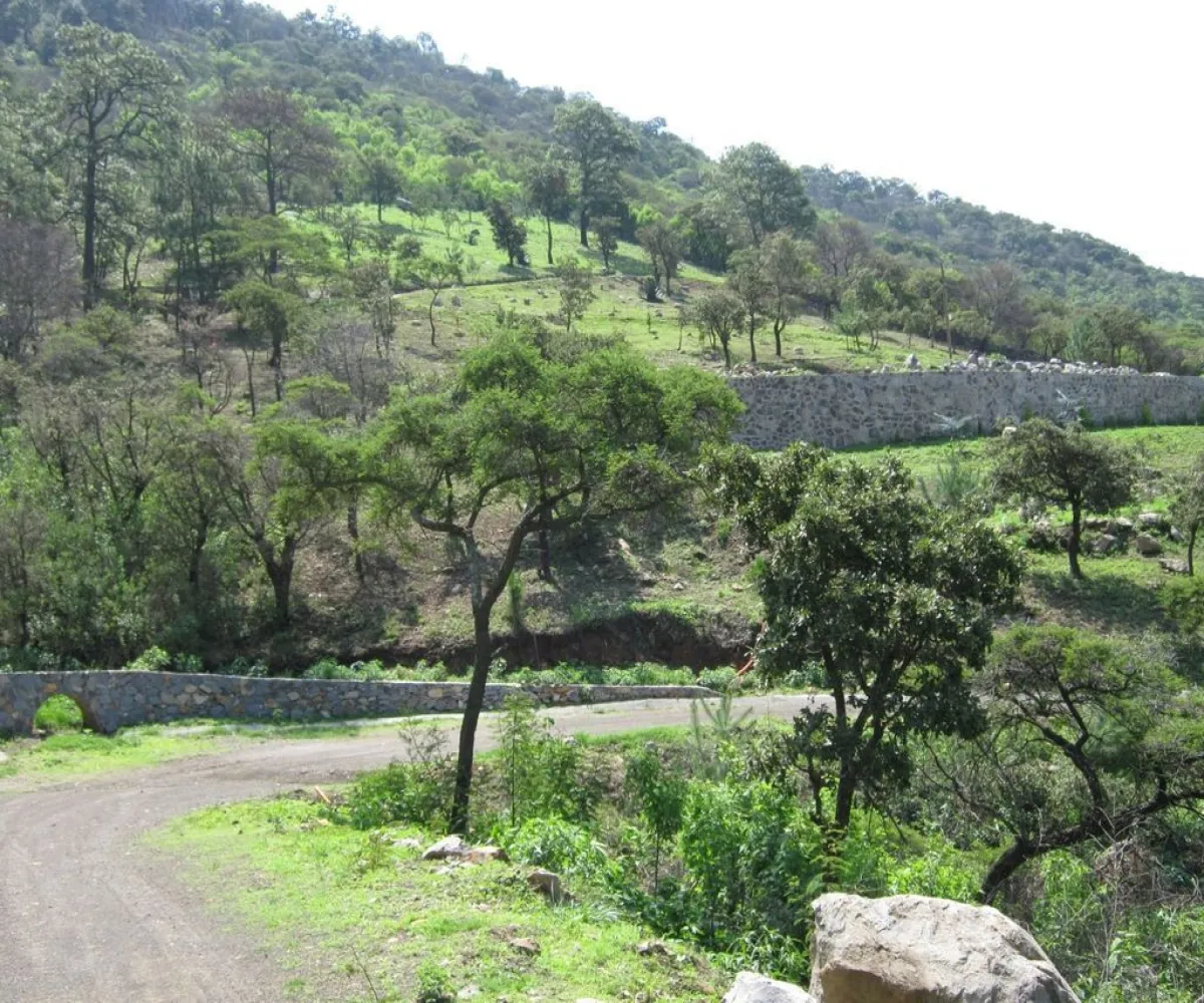 Terreno En Venta,Tapalpa,Reserva Los Magos S/N, Tapalpa, Jalisco 49340,Reserva Los Magos ,pfr0bI6