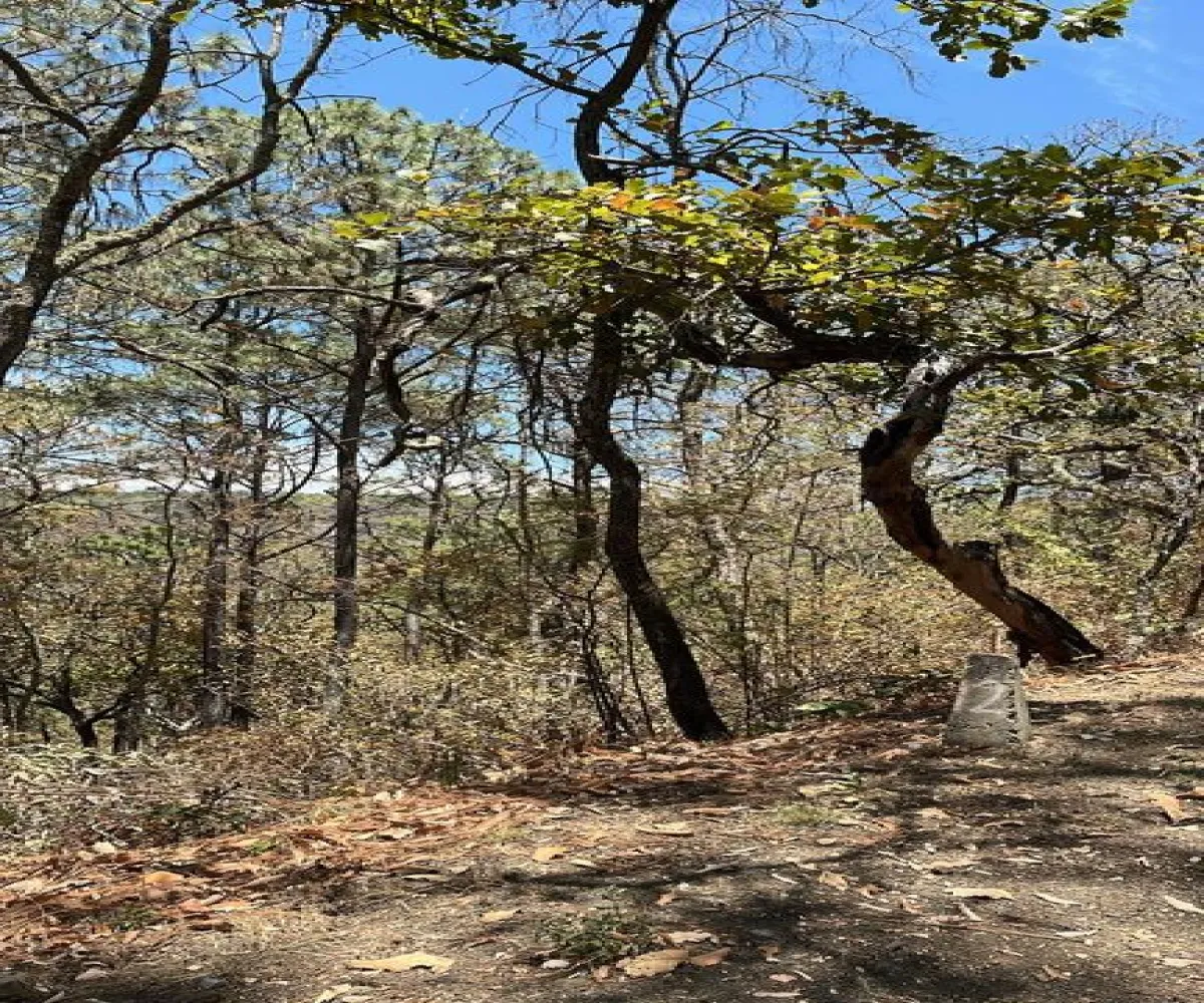 Terreno En Venta,Tapalpa,Reserva Los Magos S/N, Tapalpa, Jalisco 49340,Reserva Los Magos ,pfr0bI6