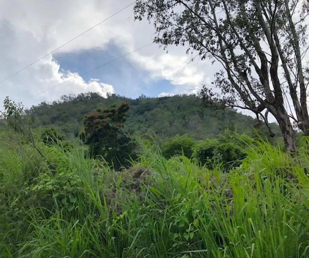 Terreno En Venta,El Ahuacate,Libramiento Guadalajara-Tepic 220, Tepic, Nayarit 63507,Libramiento Guadalajara-Tepic,ppcSpuU Terreno En Venta,El Ahuacate,Libramiento Guadalajara-Tepic 220, Tepic, Nayarit 63507,Libramiento Guadalajara-Tepic,ppcSpuU