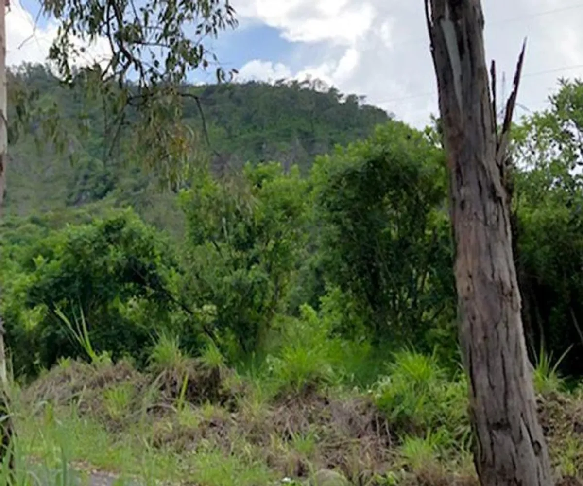 Terreno En Venta,El Ahuacate,Libramiento Guadalajara-Tepic 220, Tepic, Nayarit 63507,Libramiento Guadalajara-Tepic,ppcSpuU Terreno En Venta,El Ahuacate,Libramiento Guadalajara-Tepic 220, Tepic, Nayarit 63507,Libramiento Guadalajara-Tepic,ppcSpuU