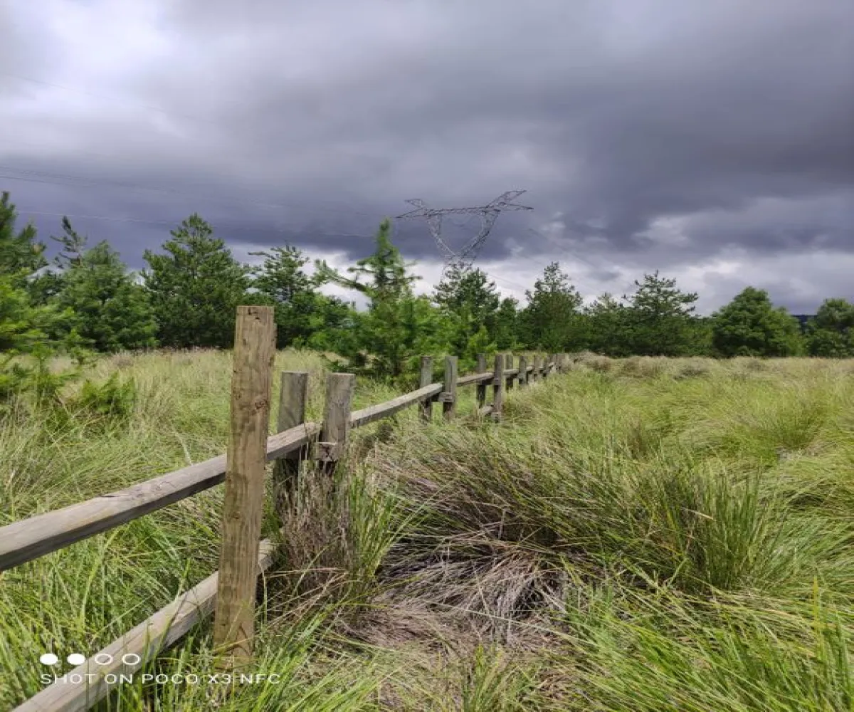 Terreno En Venta,Los Espinos,Fracc. Los Reflejos S/N, Tapalpa, Jalisco 49346,Fracc. Los Reflejos,pYRJcmL