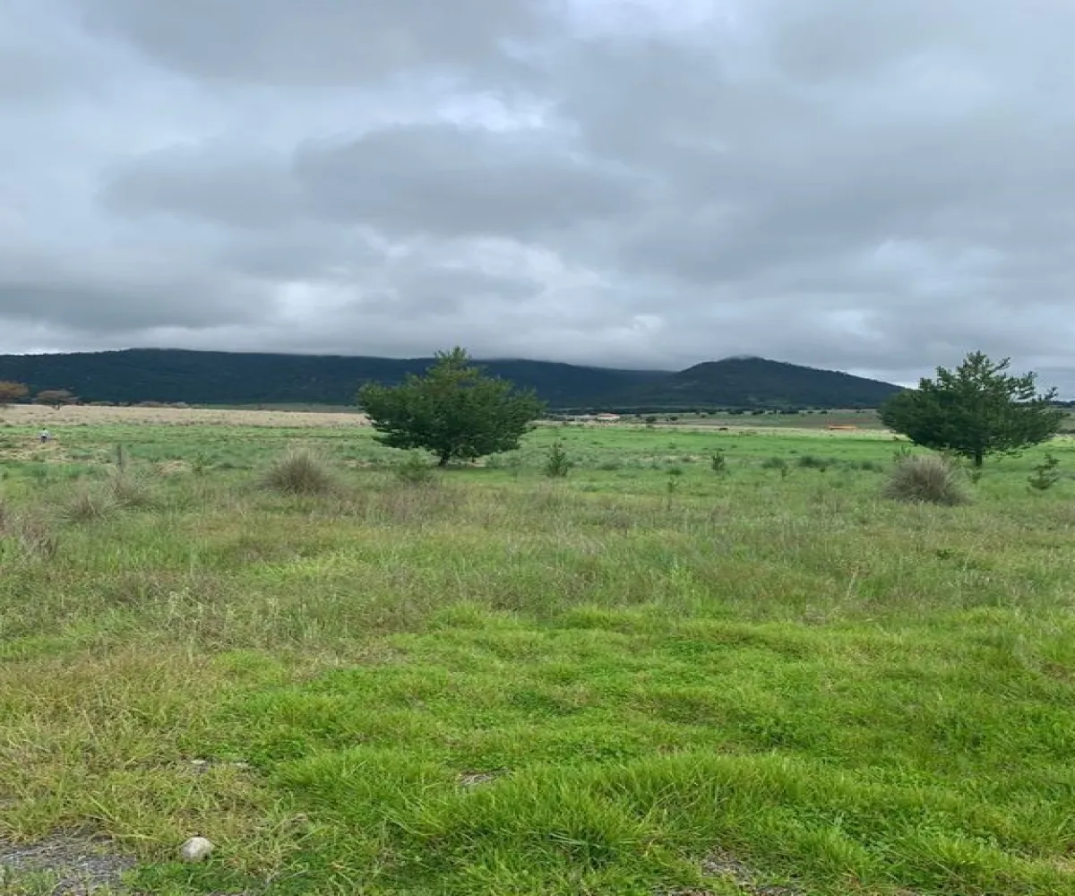 Terreno En Venta,Los Espinos,Fracc. Los Reflejos S/N, Tapalpa, Jalisco 49346,Fracc. Los Reflejos,pYRJcmL