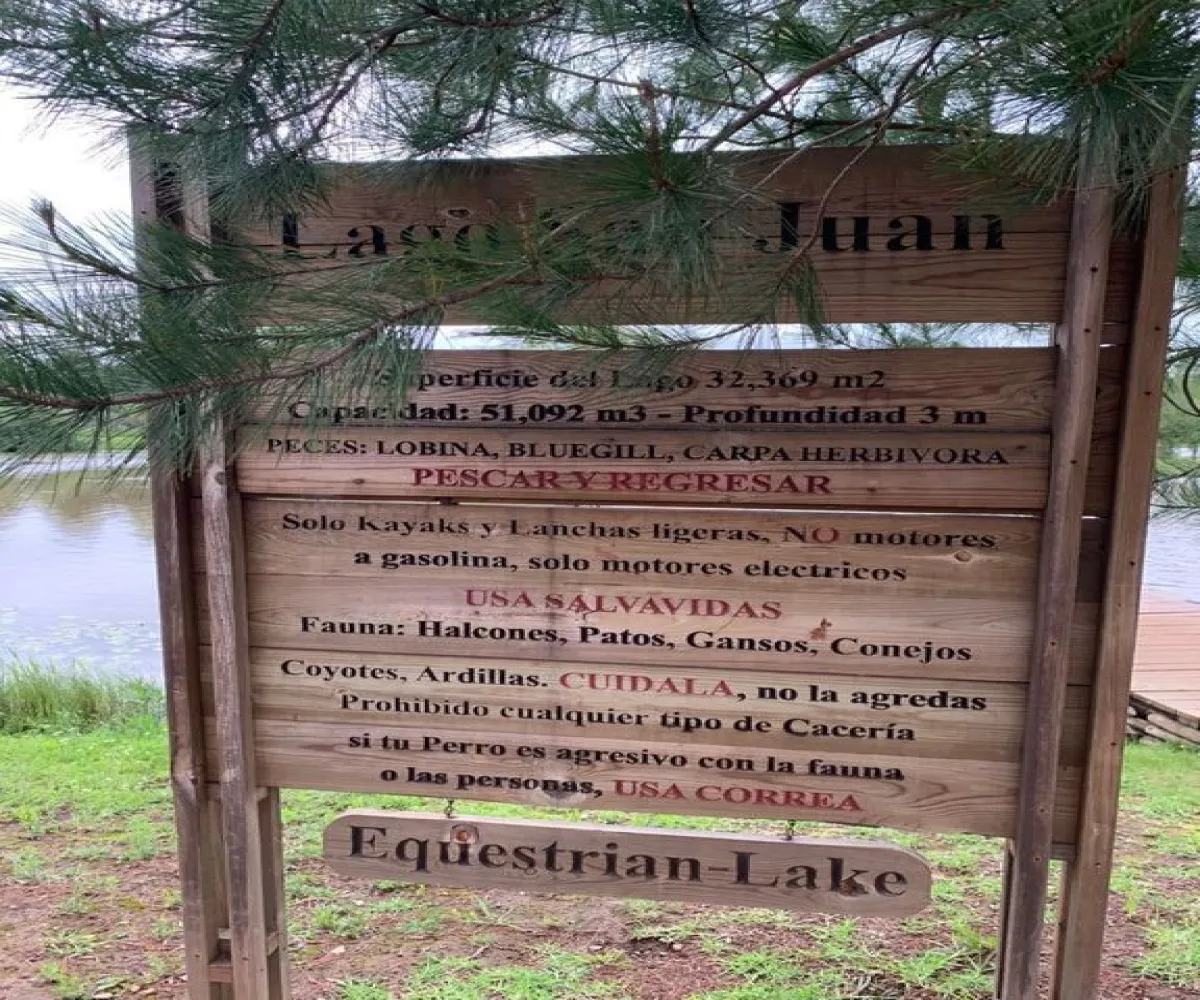 Terreno En Venta,Los Espinos,Fracc. Los Reflejos S/N, Tapalpa, Jalisco 49346,Fracc. Los Reflejos,pYRJcmL