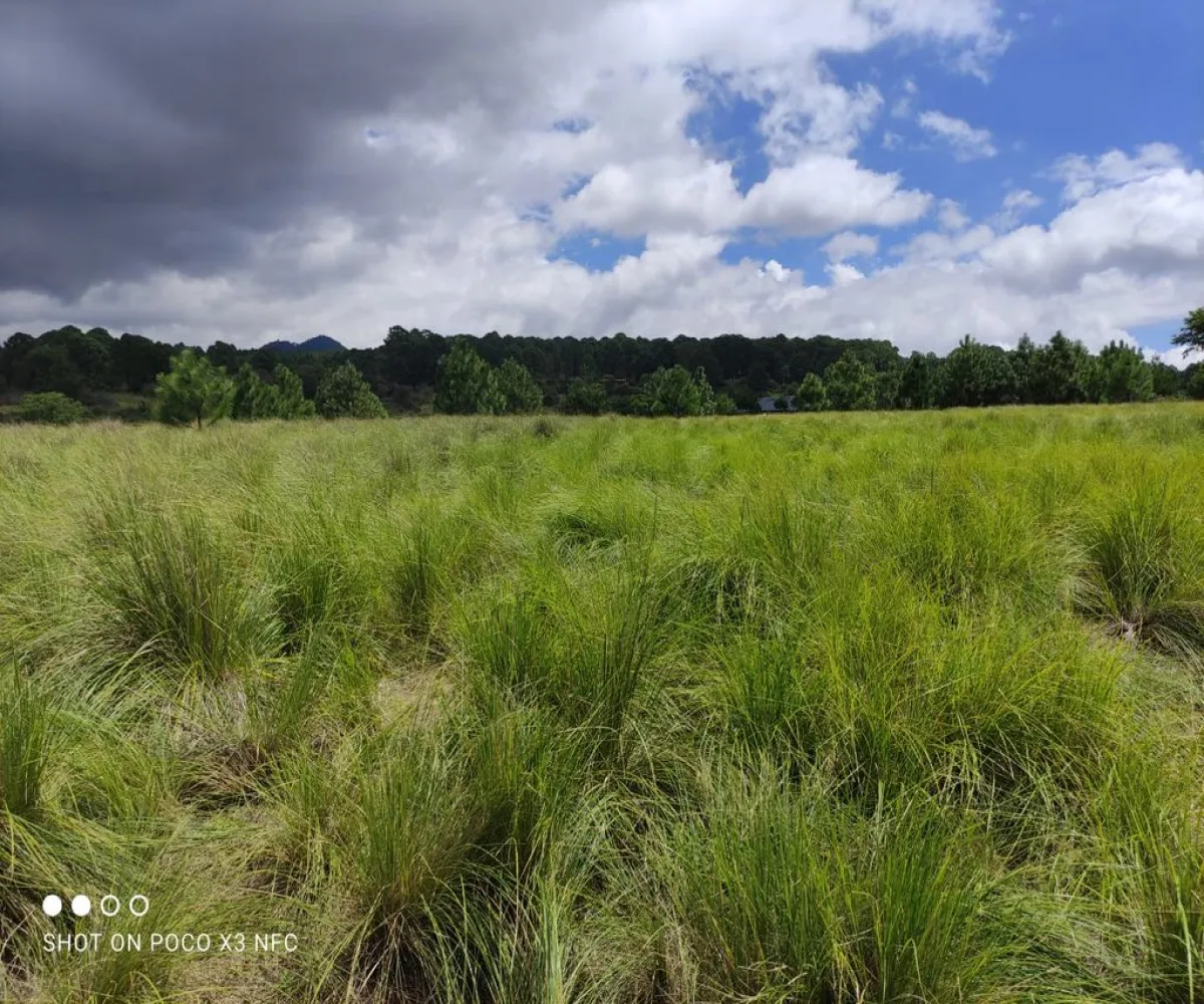 Terreno En Venta,Los Espinos,Fracc. Los Reflejos S/N, Tapalpa, Jalisco 49346,Fracc. Los Reflejos,pYRJcmL