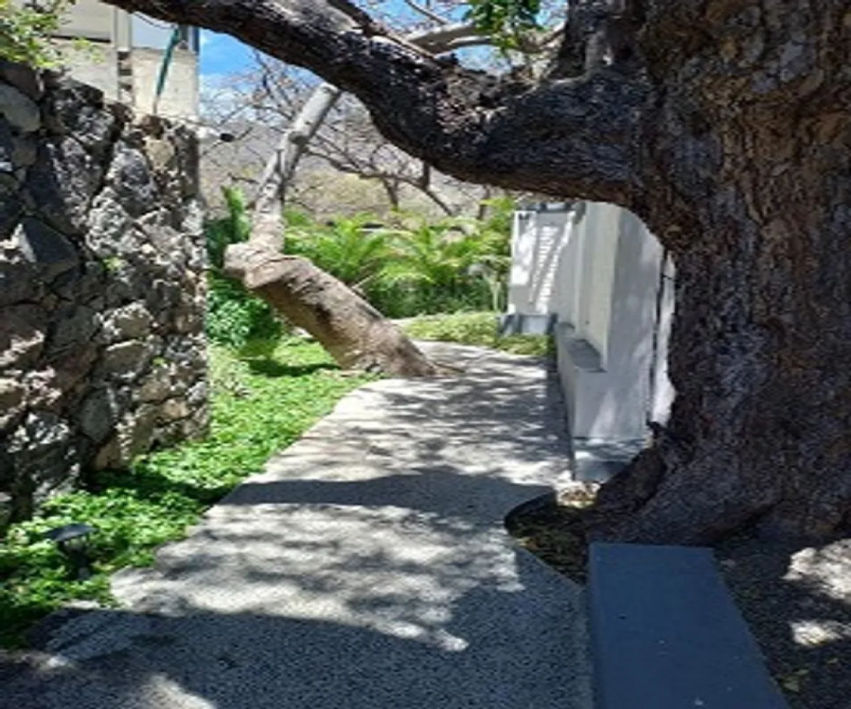 Departamento En PreVenta,Ajijic Centro,Ocampo 9 205, Chapala, Jalisco 45920, 2 Habitaciones,2 Baños,Ocampo,1,pVOnhwl