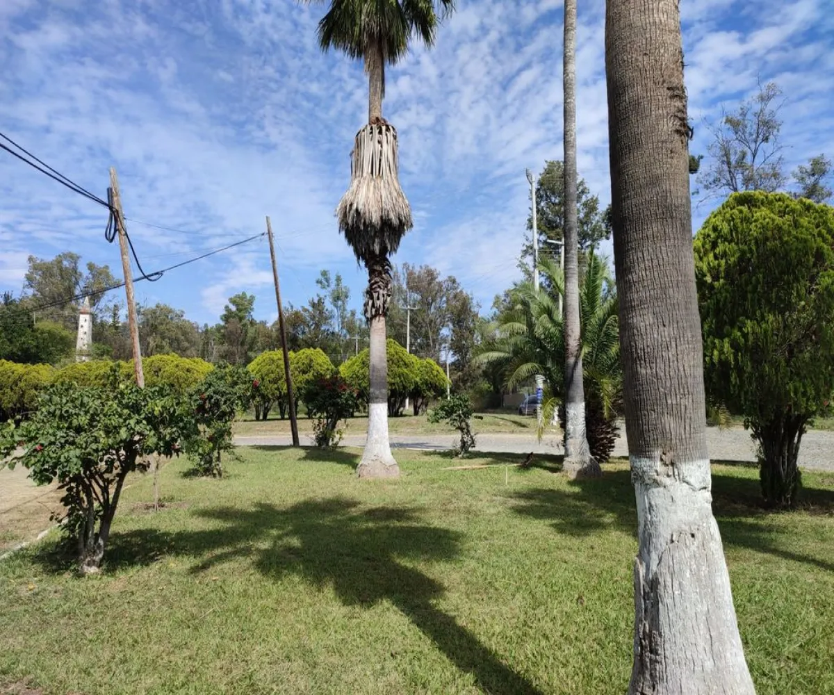 Terreno En Venta,Agua Escondida,AGUA ESCONDIDA S/N, Ixtlahuacán de los Membrillos, Jalisco 45850,AGUA ESCONDIDA,pzPYaYx