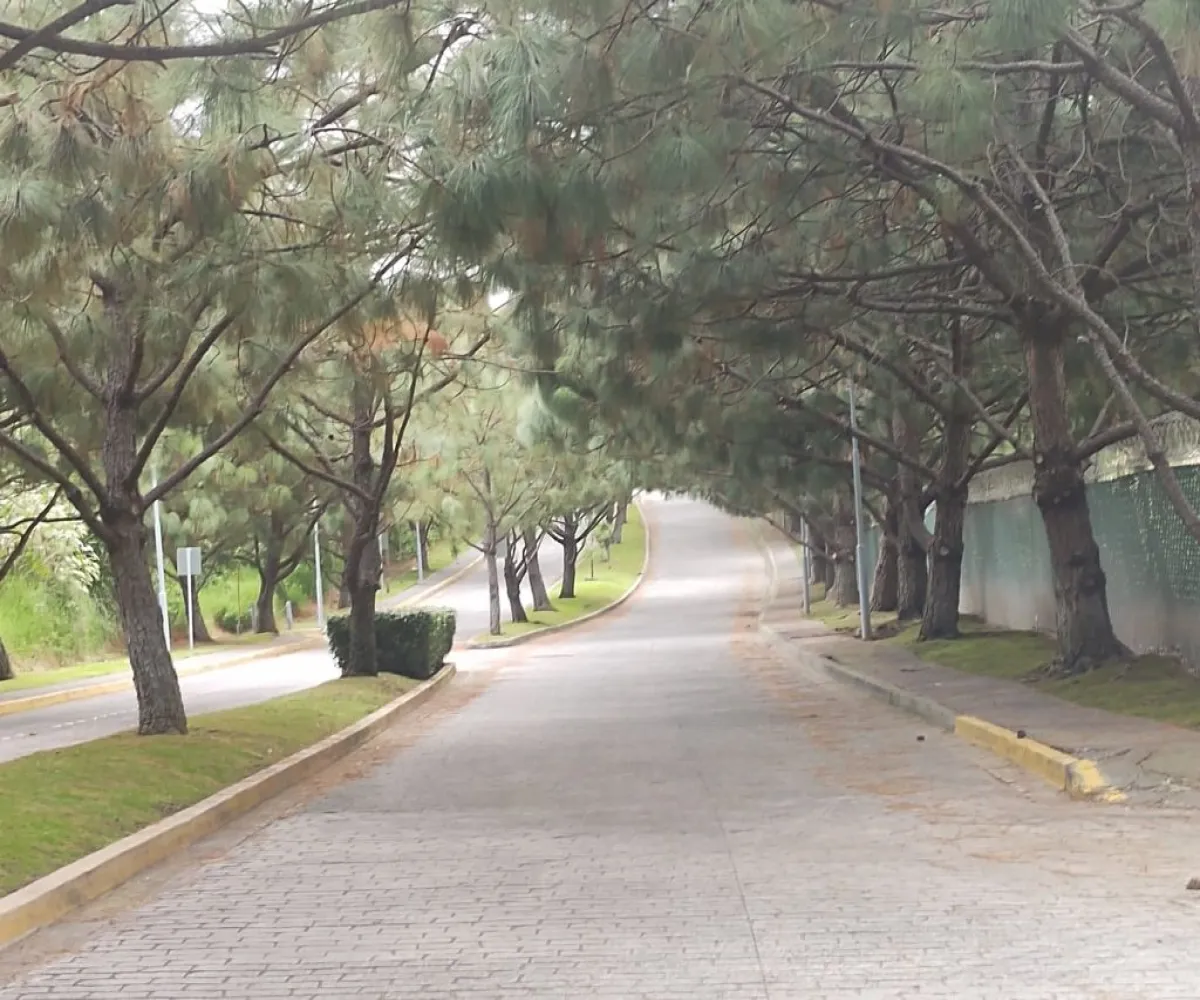 Terreno En Venta,Campo Lago,Campo Lago S/N, Zapopan, Jalisco 45222,Campo Lago ,p2a7bIG Terreno En Venta,Campo Lago,Campo Lago S/N, Zapopan, Jalisco 45222,Campo Lago ,p2a7bIG