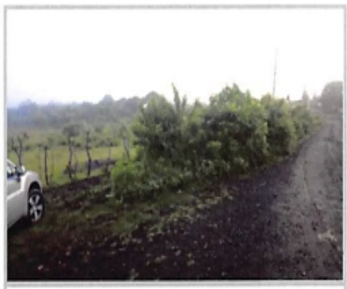 Terreno En Venta,La Tuna Manza,Los Mogotes S/N, Morelia, Michoacán de Ocampo 59100,Los Mogotes,p3Fj4ll