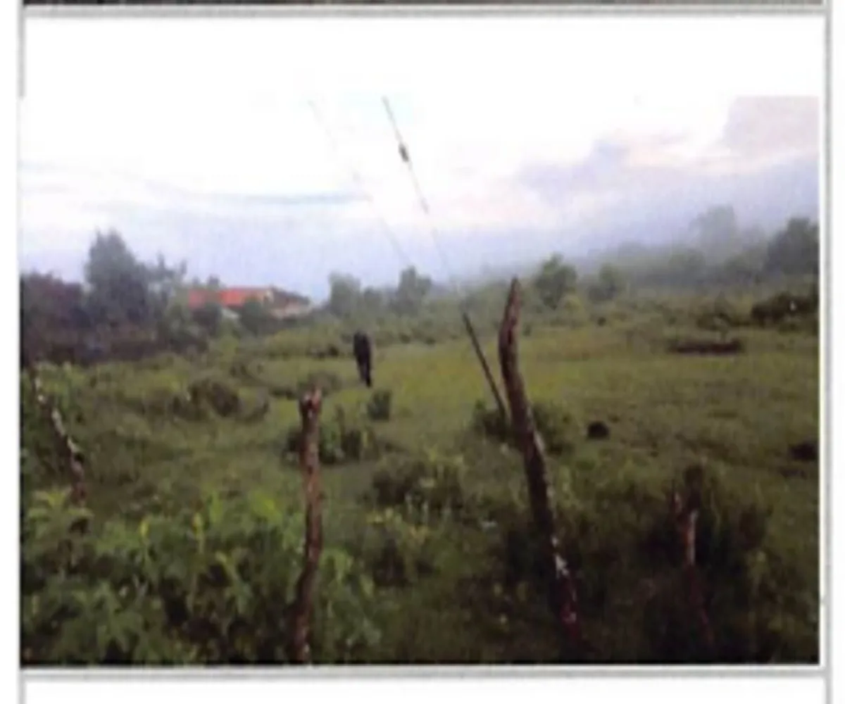 Terreno En Venta,La Tuna Manza,Los Mogotes S/N, Morelia, Michoacán de Ocampo 59100,Los Mogotes,p3Fj4ll