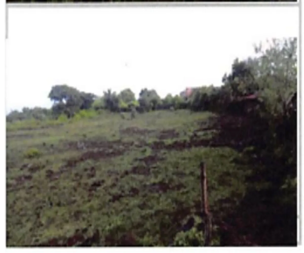 Terreno En Venta,La Tuna Manza,Los Mogotes S/N, Morelia, Michoacán de Ocampo 59100,Los Mogotes,p3Fj4ll