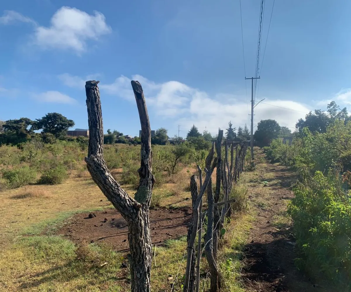 Terreno En Venta,La Tuna Manza,Los Mogotes S/N, Morelia, Michoacán de Ocampo 59100,Los Mogotes,p3Fj4ll