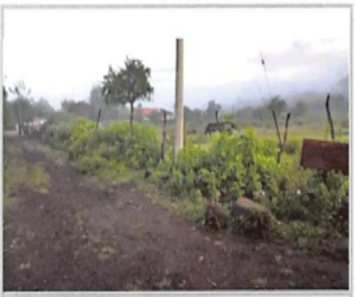 Terreno En Venta,La Tuna Manza,Los Mogotes S/N, Morelia, Michoacán de Ocampo 59100,Los Mogotes,p3Fj4ll