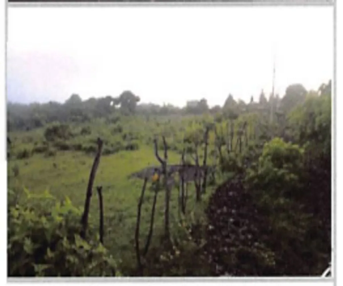 Terreno En Venta,La Tuna Manza,Los Mogotes S/N, Morelia, Michoacán de Ocampo 59100,Los Mogotes,p3Fj4ll