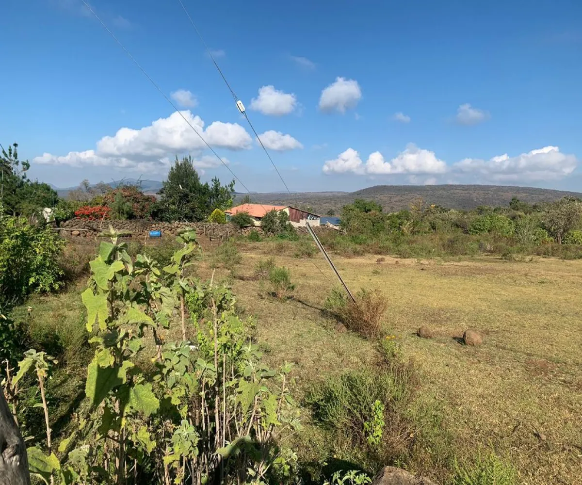 Terreno En Venta,La Tuna Manza,Los Mogotes S/N, Morelia, Michoacán de Ocampo 59100,Los Mogotes,p3Fj4ll