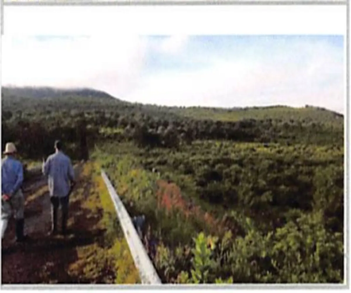 Terreno En Venta,Chiquimitío,La Tuna Manza S/N, Morelia, Michoacán de Ocampo 58313,La Tuna Manza,pEzhyrv