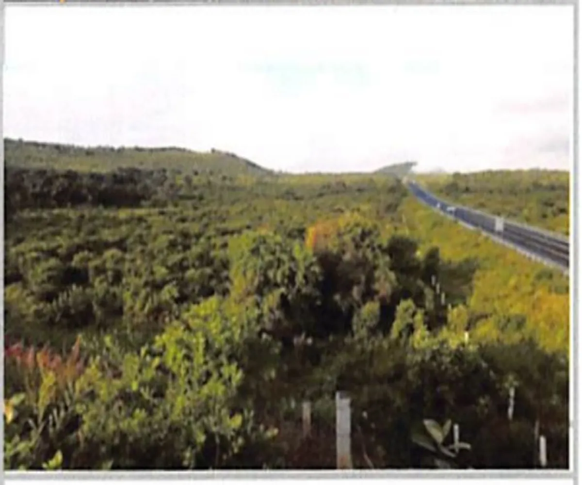 Terreno En Venta,Chiquimitío,La Tuna Manza S/N, Morelia, Michoacán de Ocampo 58313,La Tuna Manza,pEzhyrv