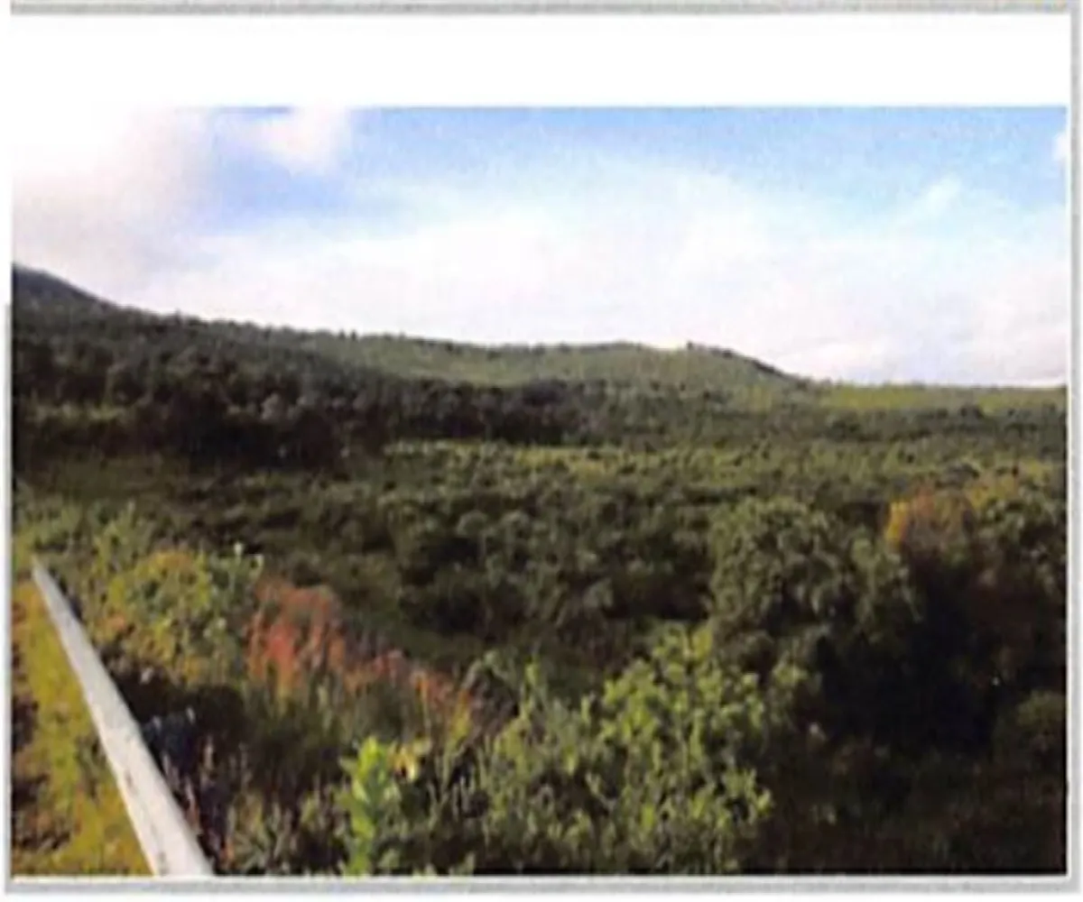 Terreno En Venta,Chiquimitío,La Tuna Manza S/N, Morelia, Michoacán de Ocampo 58313,La Tuna Manza,pEzhyrv