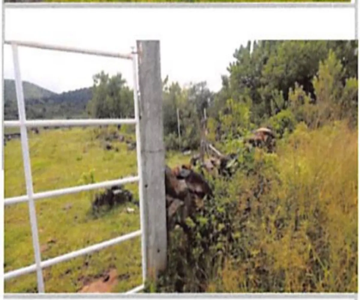 Terreno En Venta,Capula,Fray Juan Bautista Moya S/N, Morelia, Michoacán de Ocampo 58331,Fray Juan Bautista Moya,pyddNZA