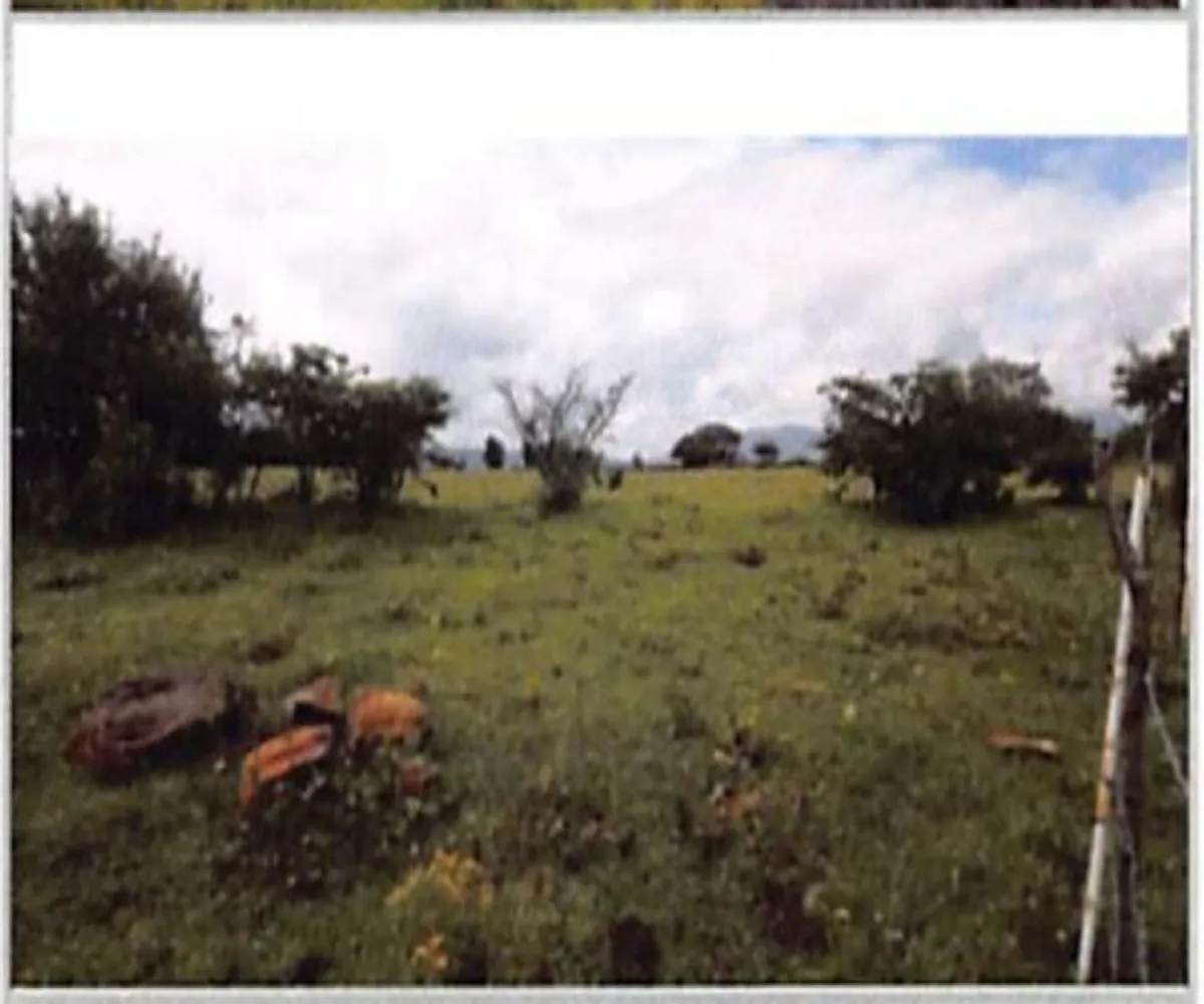 Terreno En Venta,Capula,Fray Juan Bautista Moya S/N, Morelia, Michoacán de Ocampo 58331,Fray Juan Bautista Moya,pyddNZA