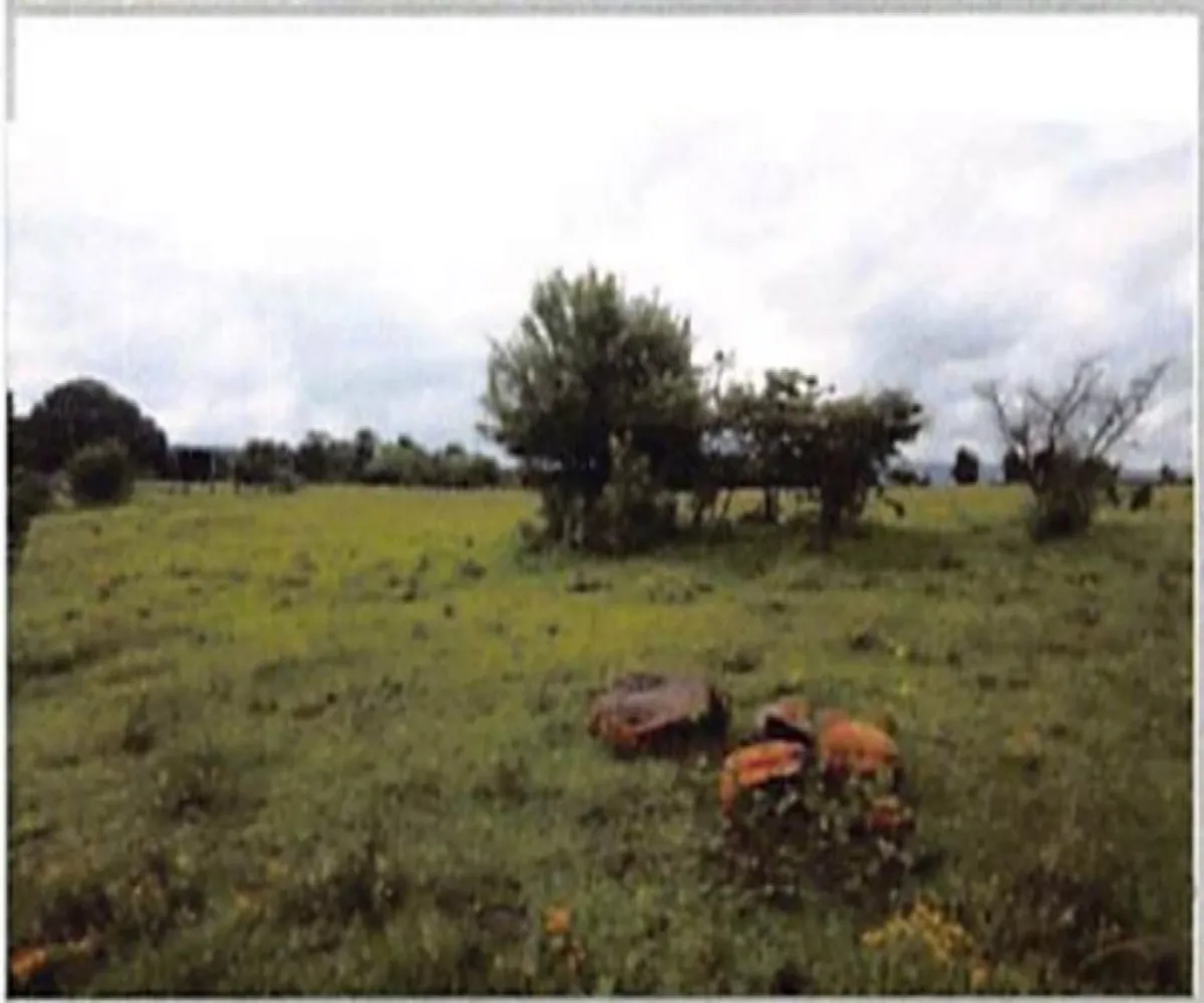 Terreno En Venta,Capula,Fray Juan Bautista Moya S/N, Morelia, Michoacán de Ocampo 58331,Fray Juan Bautista Moya,pyddNZA