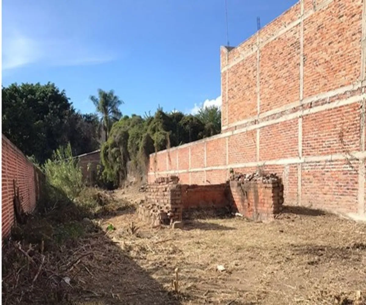 Terreno En Venta,Tlajomulco Centro,20 de noviembre 43, Tlajomulco de Zúñiga, Jalisco 45640,20 de noviembre,pPE2wVD Terreno En Venta,Tlajomulco Centro,20 de noviembre 43, Tlajomulco de Zúñiga, Jalisco 45640,20 de noviembre,pPE2wVD