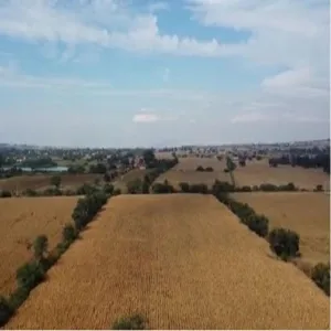 Terreno En Venta,Tlajomulco Centro,oconagua S/N, Tlajomulco de Zúñiga, Jalisco 45640,oconagua,p2sNNud