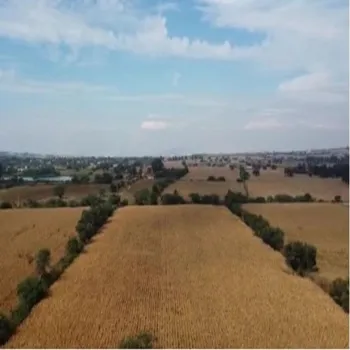 Terreno En Venta,Tlajomulco Centro,oconagua S/N, Tlajomulco de Zúñiga, Jalisco 45640,oconagua,p2sNNud