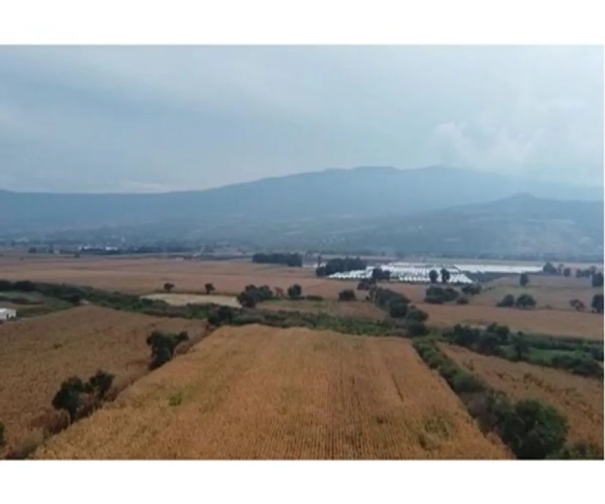 Terreno En Venta,Tlajomulco Centro,oconagua S/N, Tlajomulco de Zúñiga, Jalisco 45640,oconagua,p2sNNud