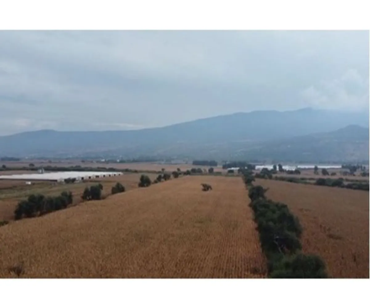 Terreno En Venta,Tlajomulco Centro,oconagua S/N, Tlajomulco de Zúñiga, Jalisco 45640,oconagua,p2sNNud