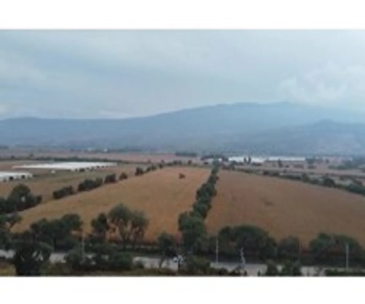 Terreno En Venta,Tlajomulco Centro,oconagua S/N, Tlajomulco de Zúñiga, Jalisco 45640,oconagua,p2sNNud