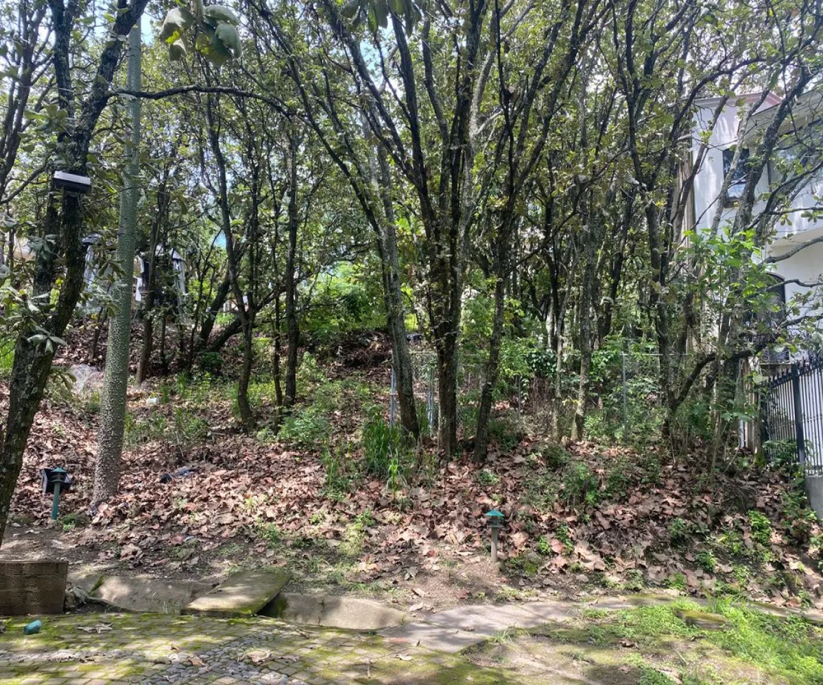 Terreno En Venta,Ciudad Bugambilia,Avenida del Bufalo 418, Zapopan, Jalisco 45237,Avenida del Bufalo ,pXkt4gv