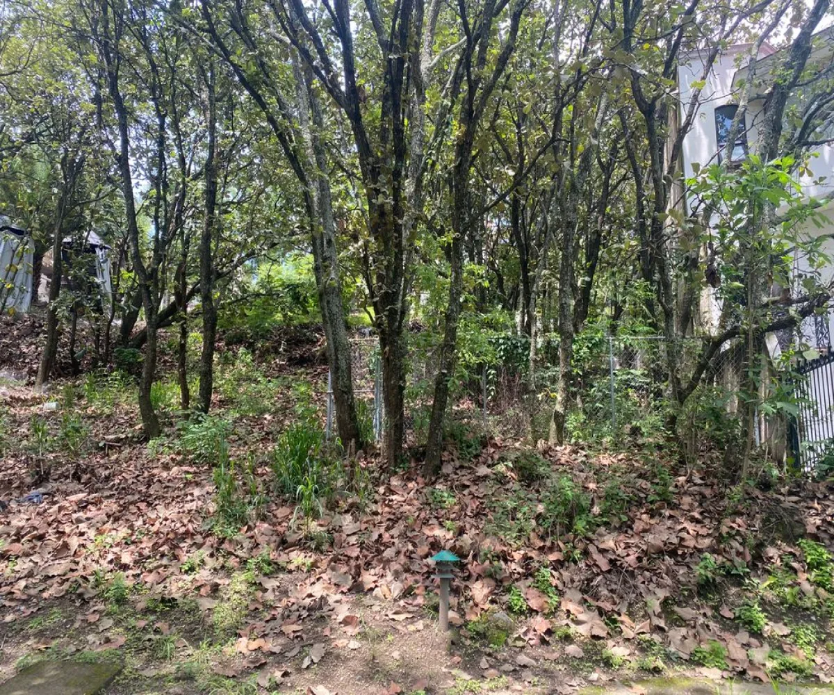 Terreno En Venta,Ciudad Bugambilia,Avenida del Bufalo 418, Zapopan, Jalisco 45237,Avenida del Bufalo ,pXkt4gv