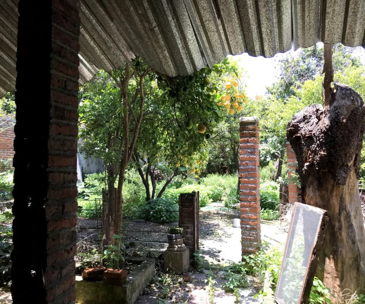 Casa En Venta,Zamora de Hidalgo Centro,Vicente Guerrero Poniente 103, Zamora, Michoacán de Ocampo 59600, 2 Habitaciones,1 Baño,Vicente Guerrero Poniente,1,pPkRRyB Casa En Venta,Zamora de Hidalgo Centro,Vicente Guerrero Poniente 103, Zamora, Michoacán de Ocampo 59600, 2 Habitaciones,1 Baño,Vicente Guerrero Poniente,1,pPkRRyB