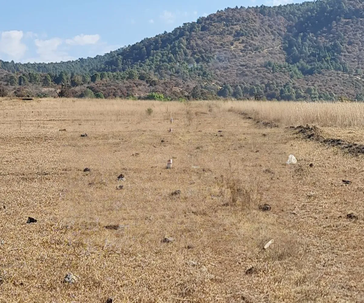 Terreno En Venta,Atacco,Francisco I. Madero S/N, Tapalpa, Jalisco 49340,Francisco I. Madero,p7G5Ny4