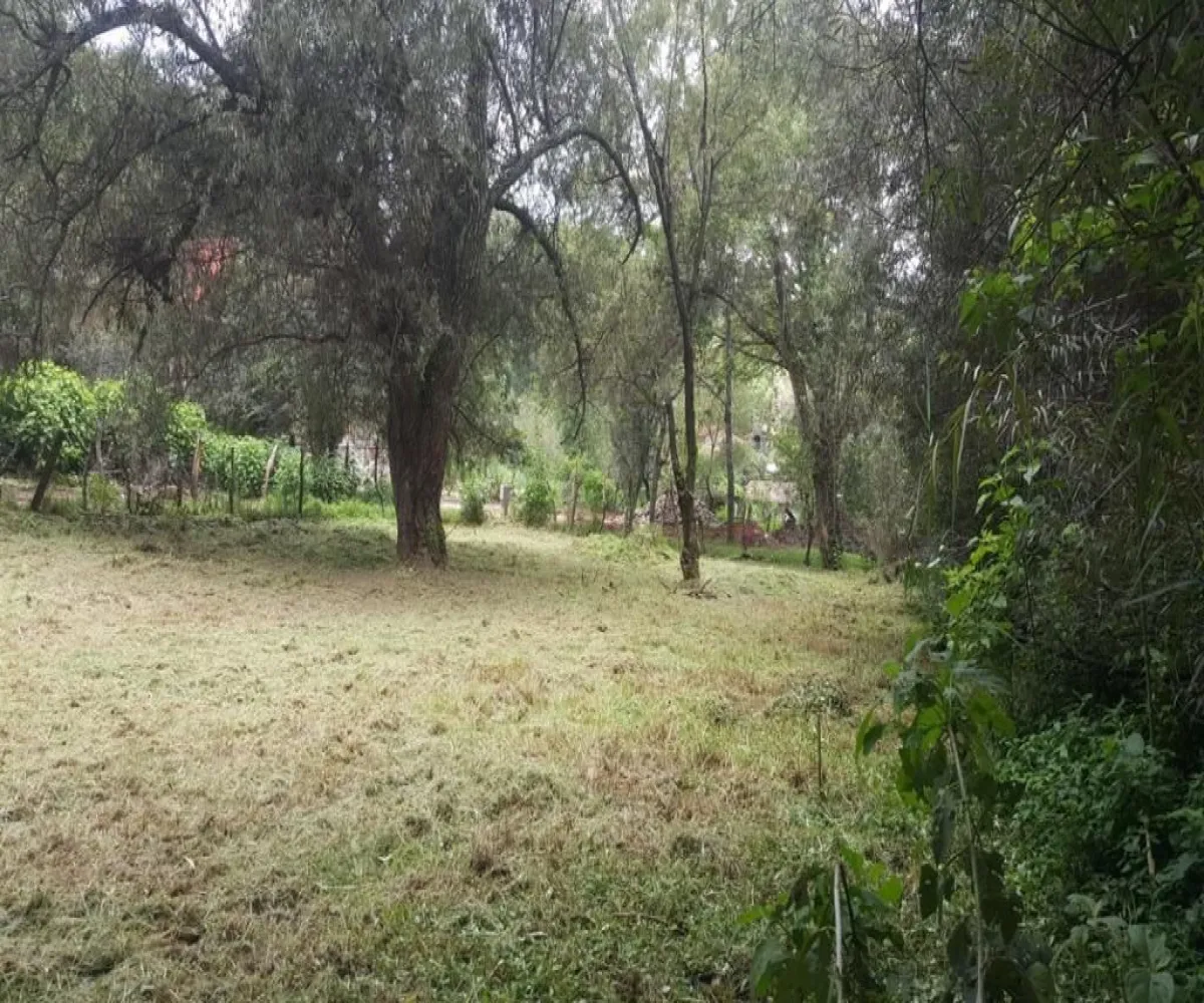 Terreno En Venta,Mazamitla,El Coporo S/N, Mazamitla, Jalisco 49500,El Coporo,pkdqtSX