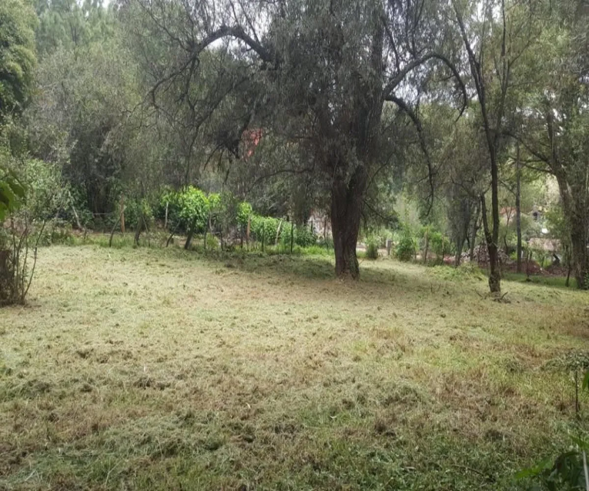 Terreno En Venta,Mazamitla,El Coporo S/N, Mazamitla, Jalisco 49500,El Coporo,pkfbKp6 Terreno En Venta,Mazamitla,El Coporo S/N, Mazamitla, Jalisco 49500,El Coporo,pkfbKp6