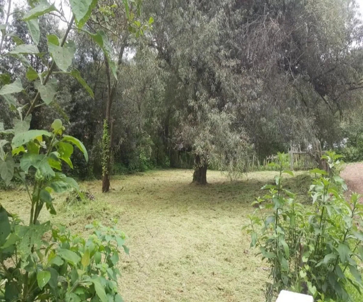 Terreno En Venta,Mazamitla,El Coporo S/N, Mazamitla, Jalisco 49500,El Coporo,pkfbKp6 Terreno En Venta,Mazamitla,El Coporo S/N, Mazamitla, Jalisco 49500,El Coporo,pkfbKp6