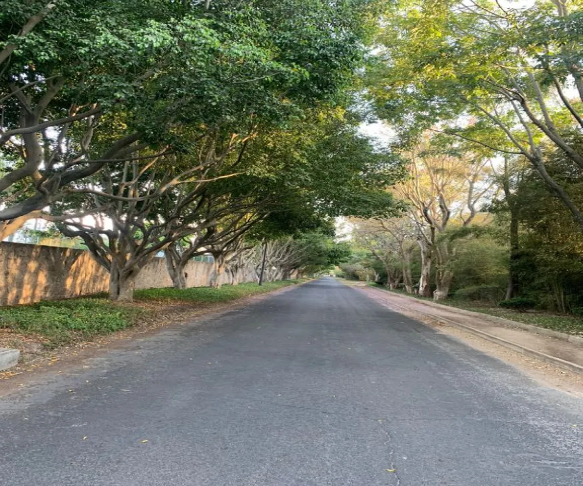 Terreno En Venta,La Mojonera,Av. Ramon Corona 1100, Zapopan, Jalisco 45019,Av. Ramon Corona,p9caEvx Terreno En Venta,La Mojonera,Av. Ramon Corona 1100, Zapopan, Jalisco 45019,Av. Ramon Corona,p9caEvx