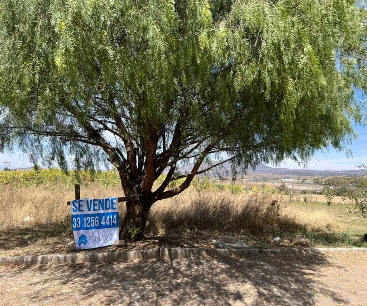 Terreno En Venta,El Arenal,Circuito Tala 13, El Arenal, Jalisco 45368,Circuito Tala ,pjaaUuG Terreno En Venta,El Arenal,Circuito Tala 13, El Arenal, Jalisco 45368,Circuito Tala ,pjaaUuG