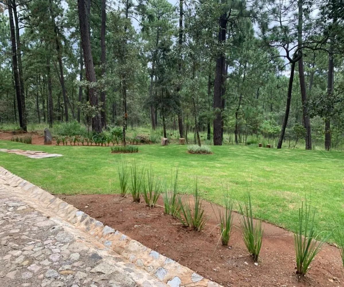 Terreno En Venta,Los Espinos,Borregos S/N, Tapalpa, Jalisco 49346,Borregos,pShHD3b