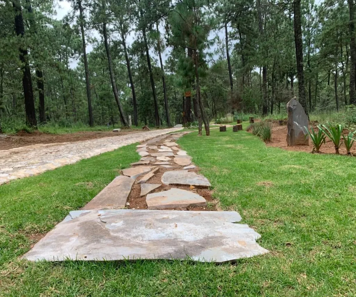 Terreno En Venta,Los Espinos,Borregos S/N, Tapalpa, Jalisco 49346,Borregos,pShHD3b