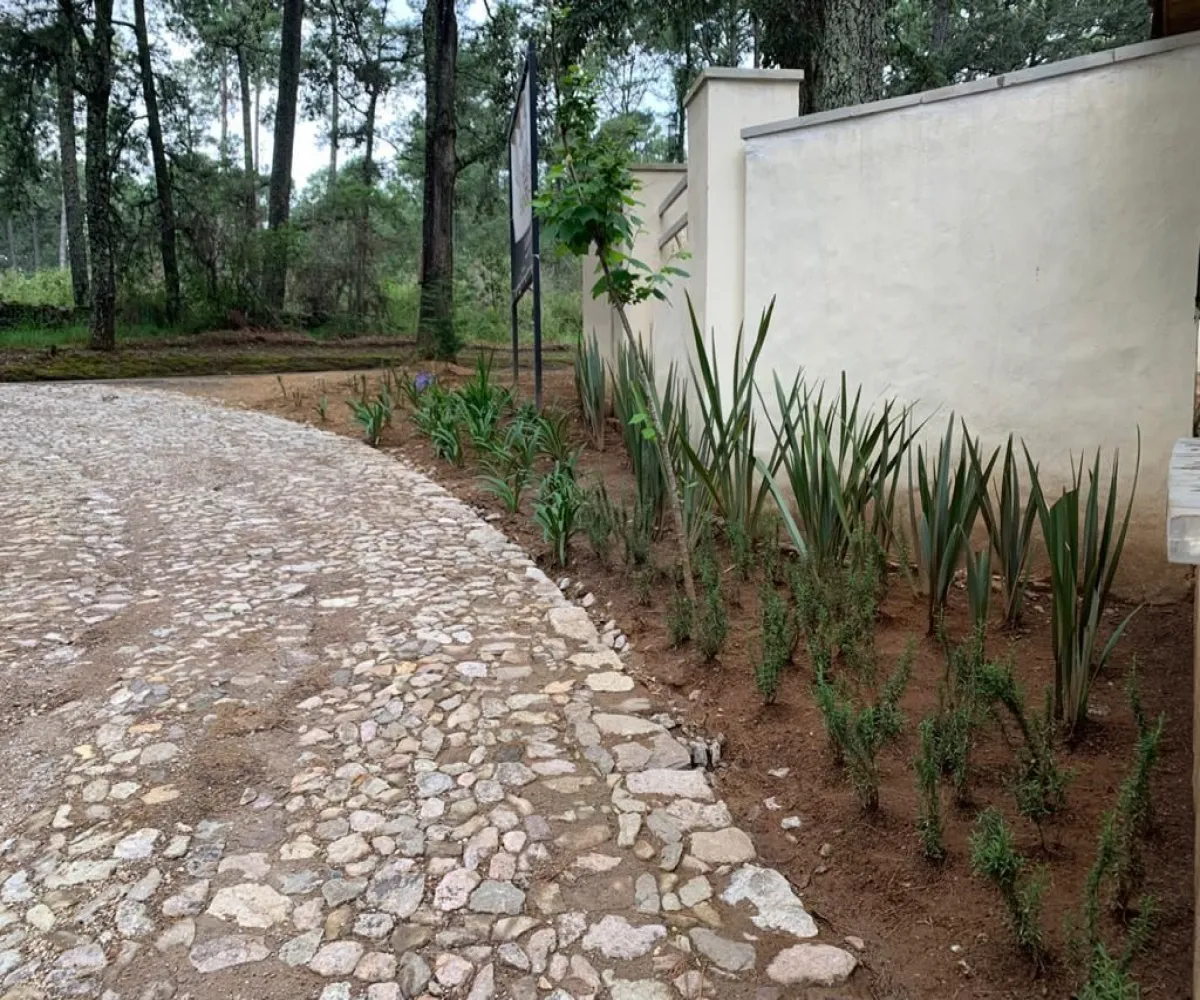 Terreno En Venta,Los Espinos,Borregos S/N, Tapalpa, Jalisco 49346,Borregos,pShHD3b