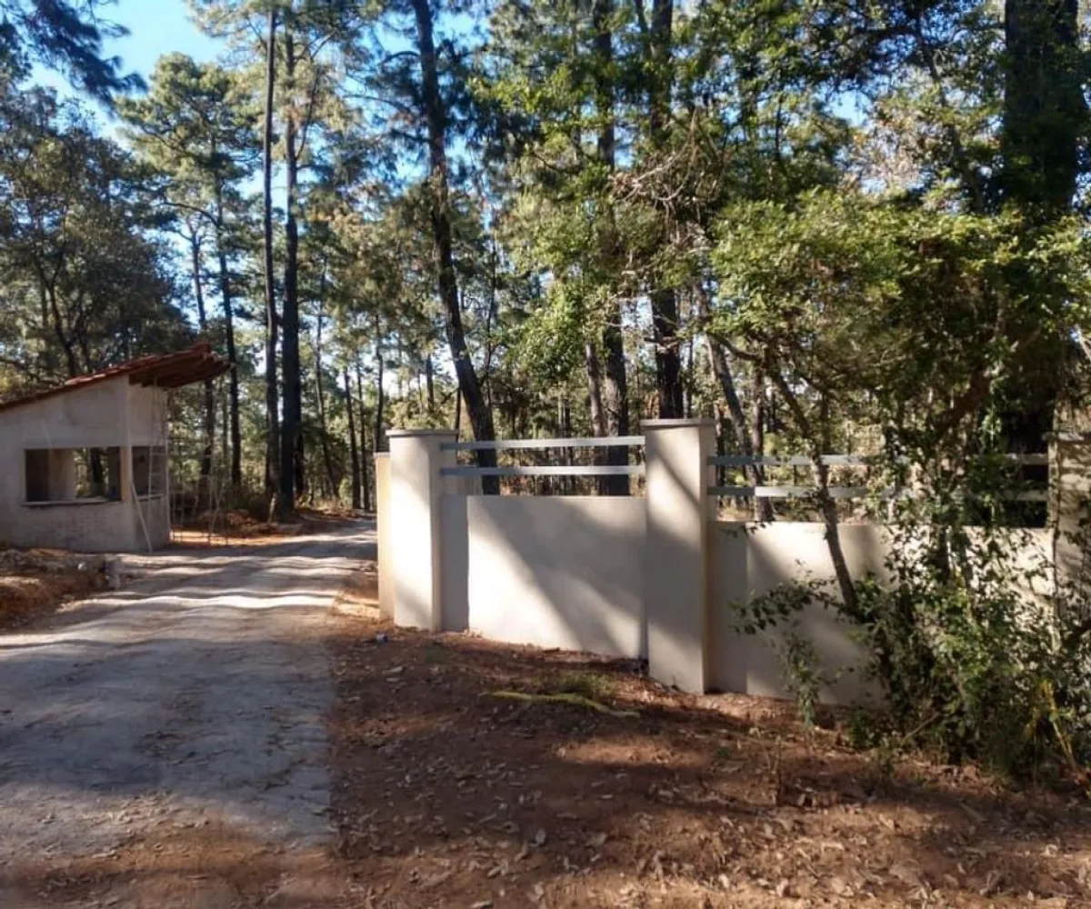 Terreno En Venta,Los Espinos,Borregos S/N, Tapalpa, Jalisco 49346,Borregos,pShHD3b