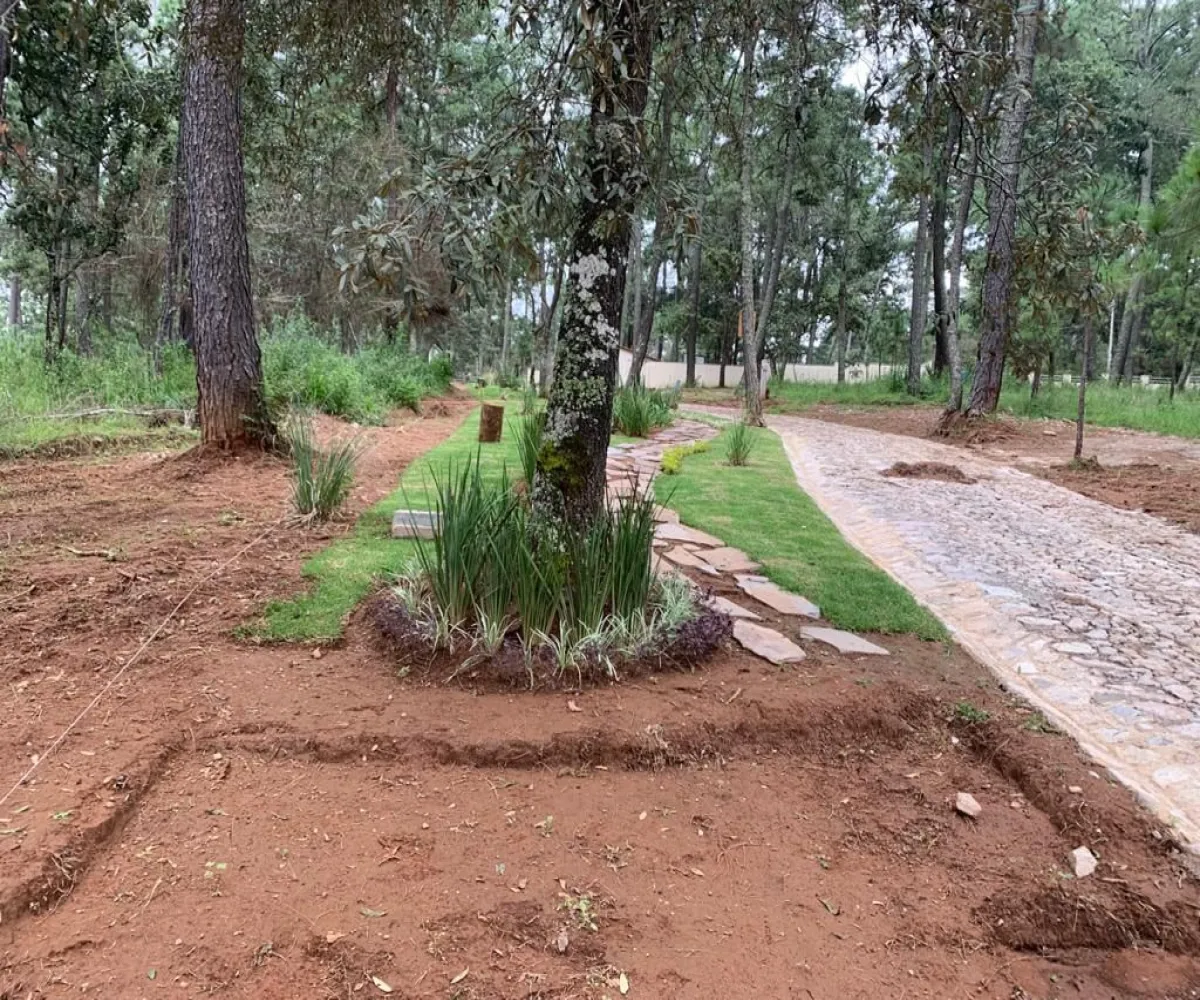 Terreno En Venta,Los Espinos,Borregos S/N, Tapalpa, Jalisco 49346,Borregos,pShHD3b